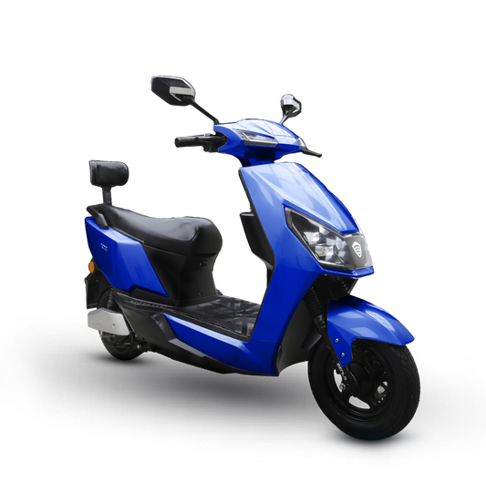 Electric Bike Roshni Pro