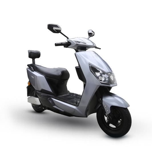 Electric Bike Roshni