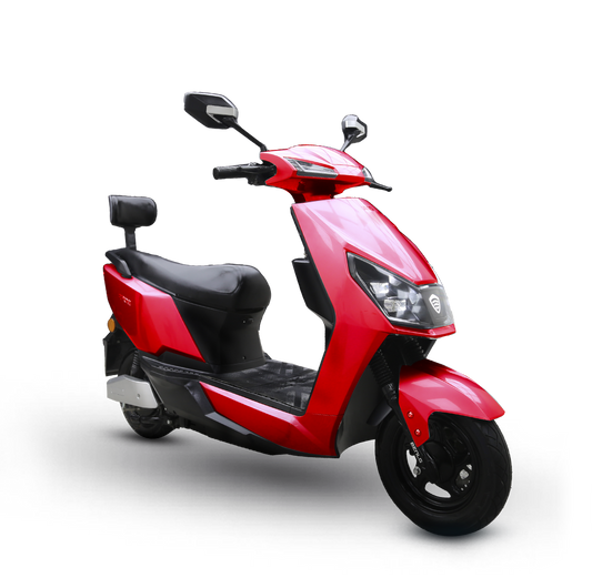 Electric Bike Roshni Plus