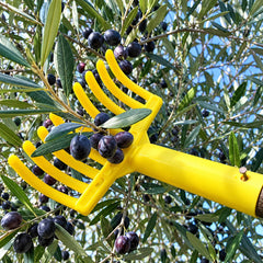 Olive Harvester