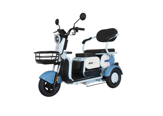 Electric Tricycle X5-G