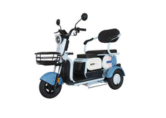 Electric Tricycle X5-G