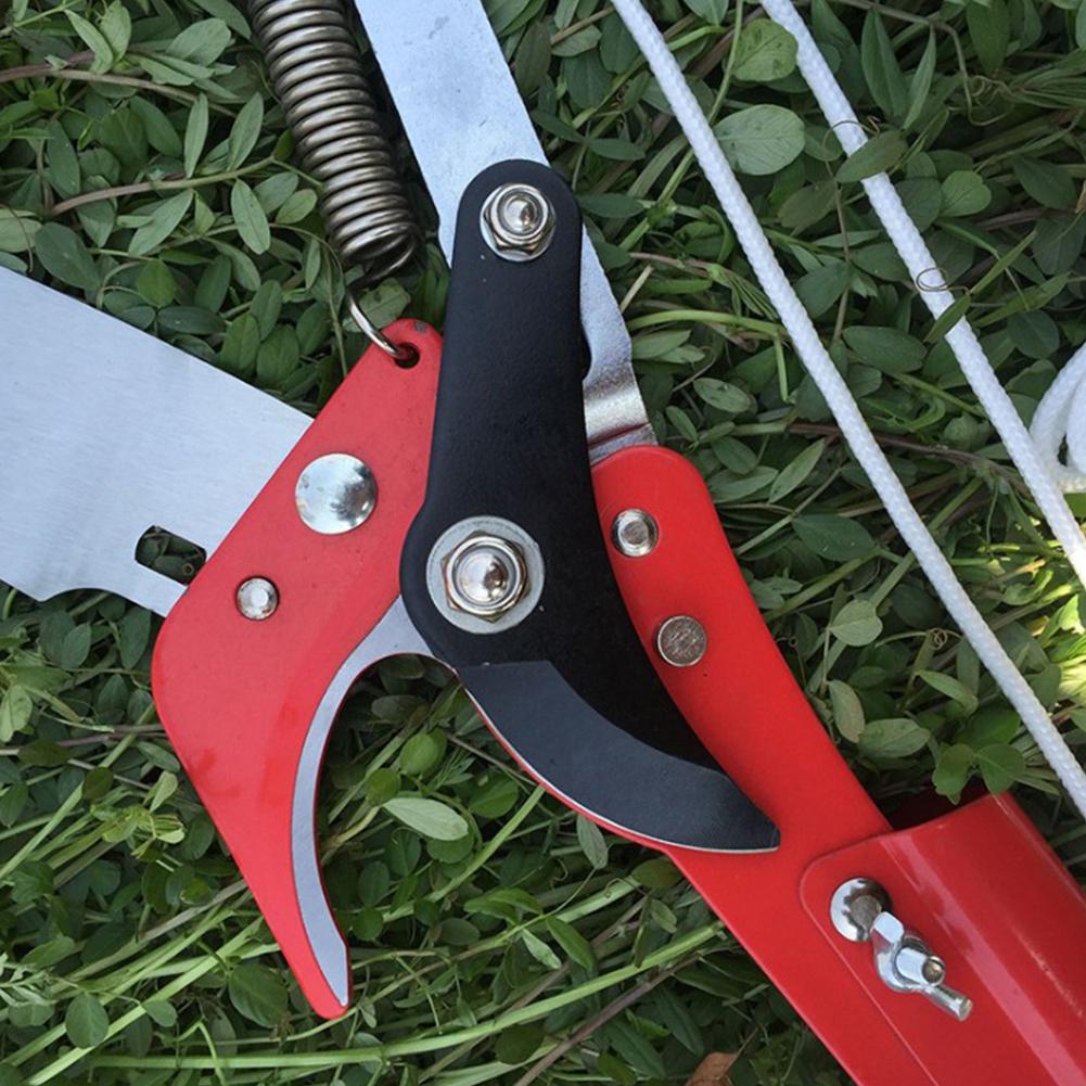 Long Reach Pruner