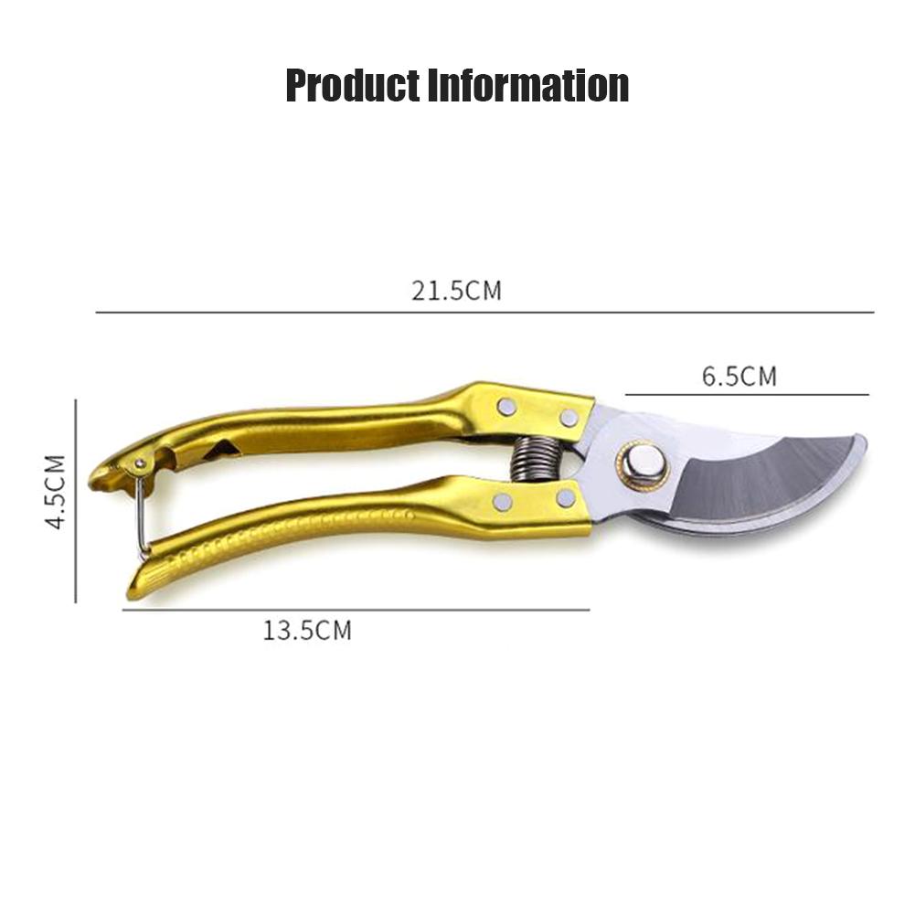 Pruner Golden