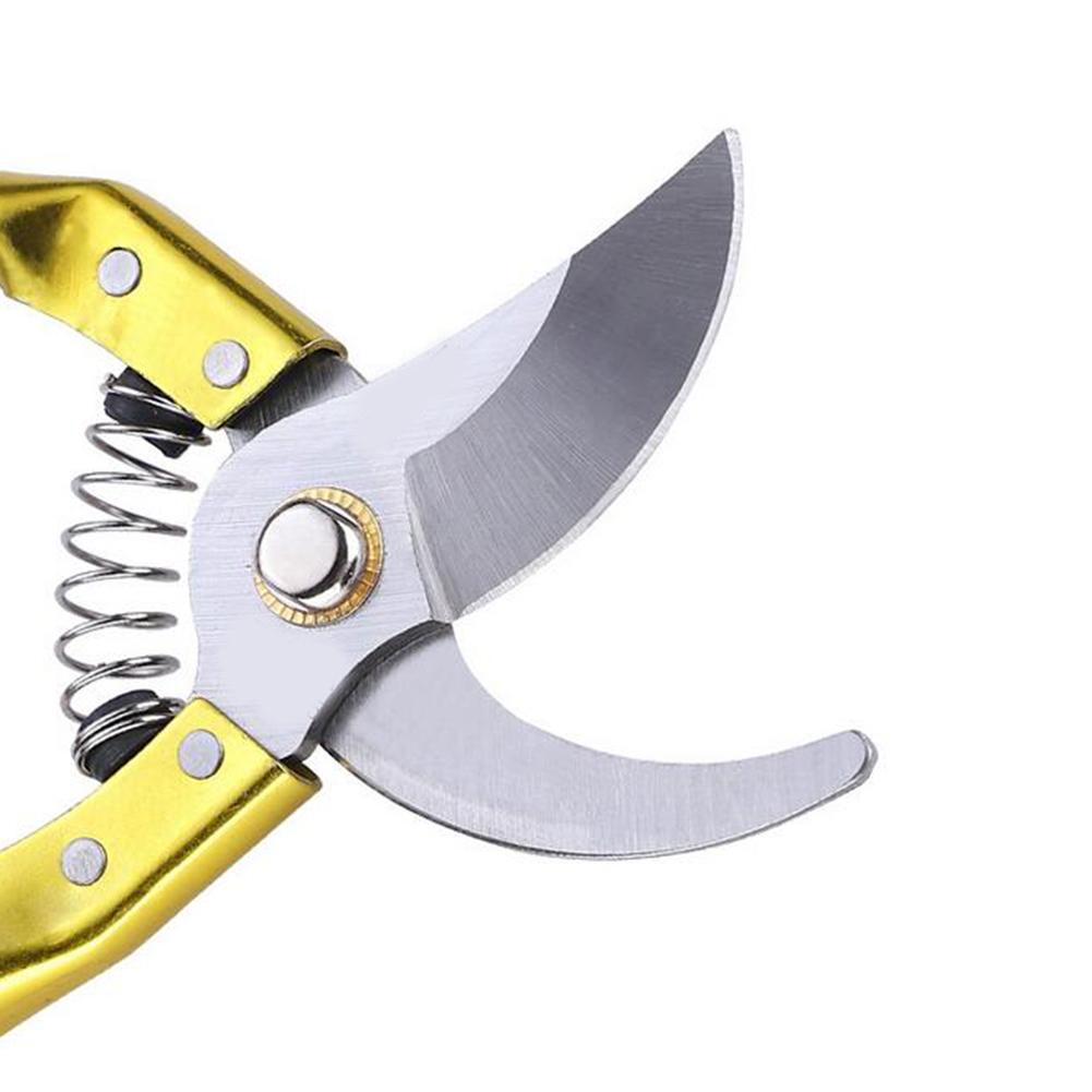 Pruner Golden