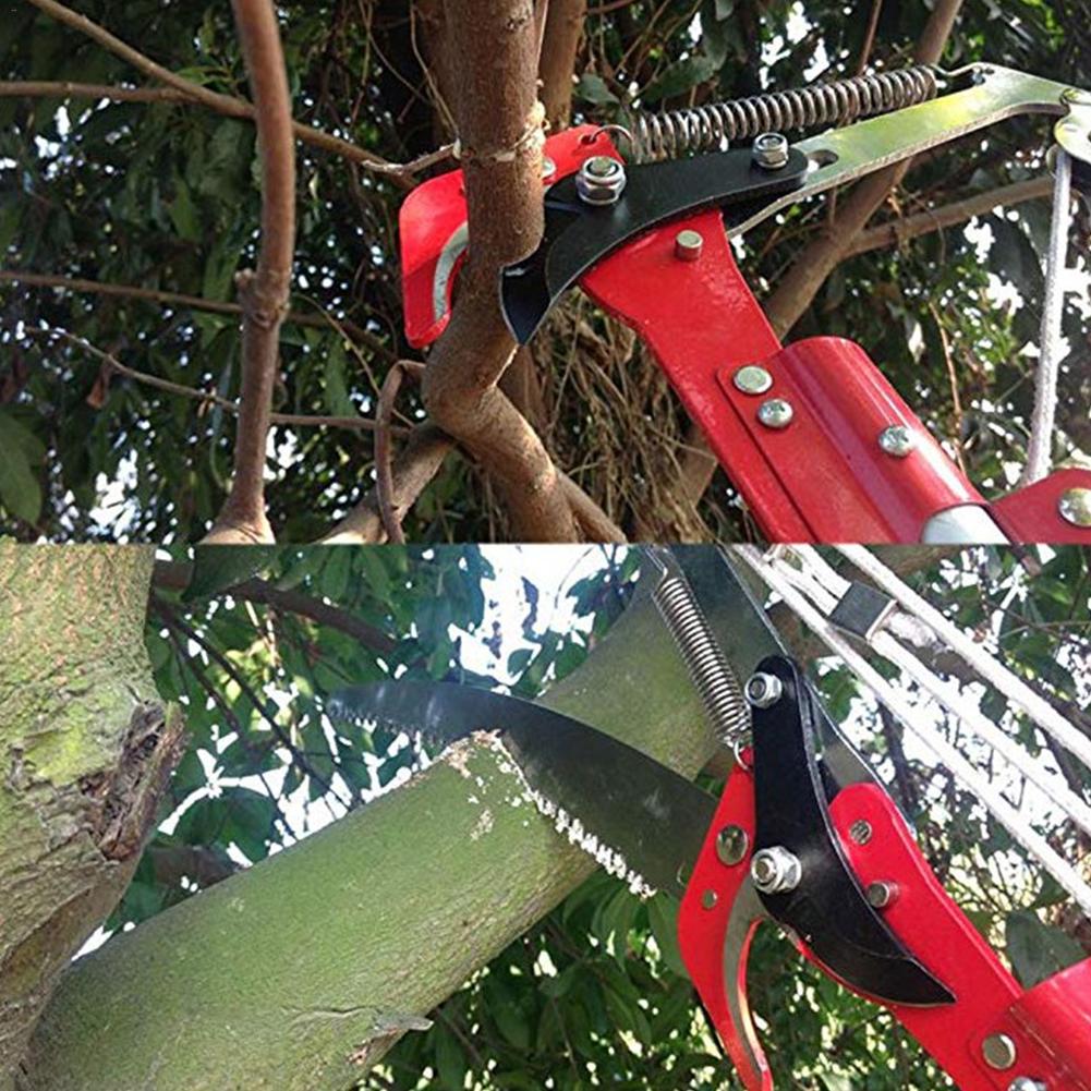 Long Reach Pruner