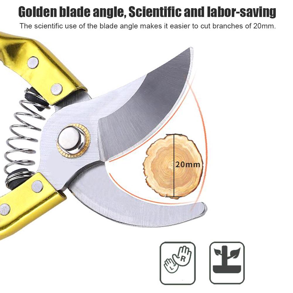 Pruner Golden
