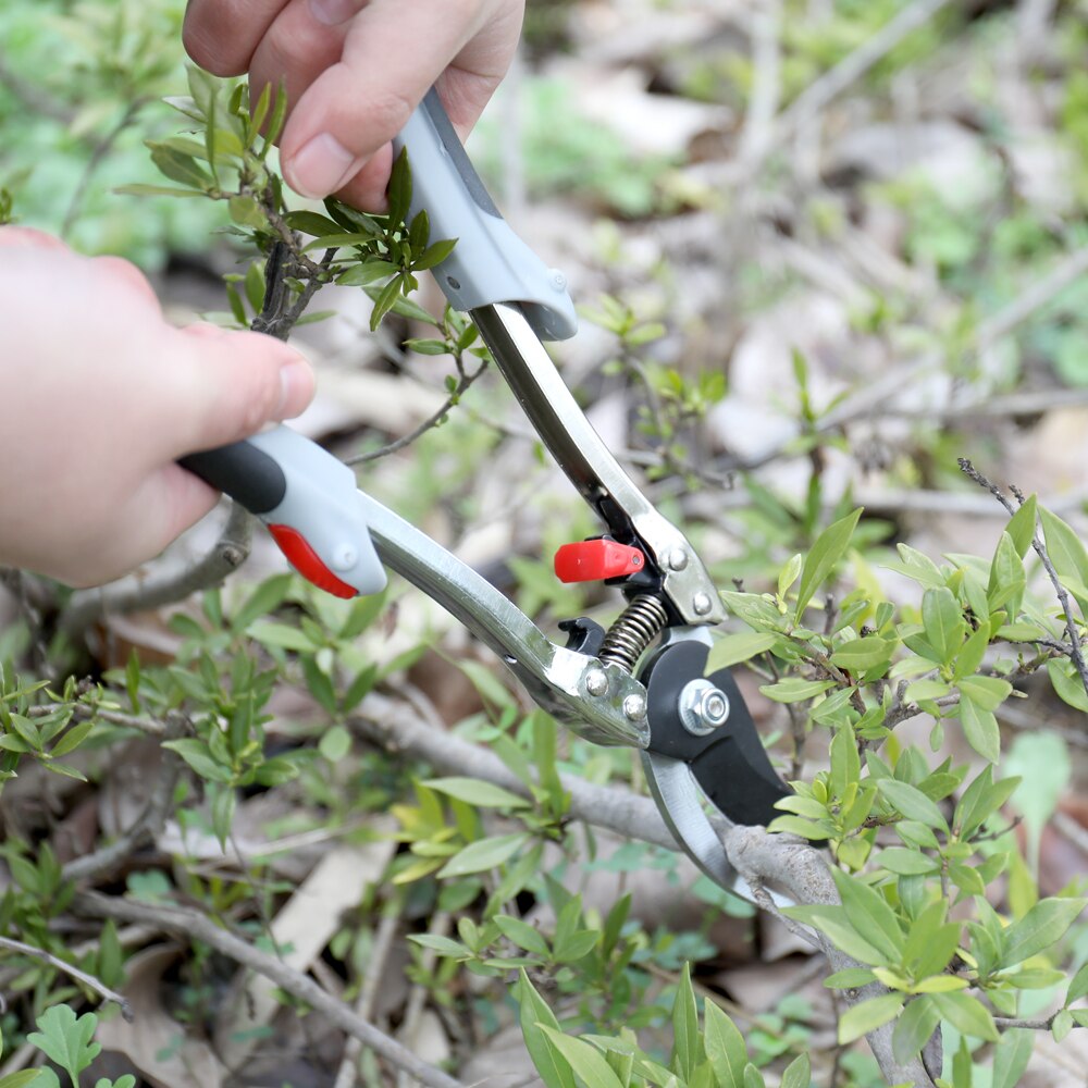 2-in-1 Handle Retractable Gardening Scissor