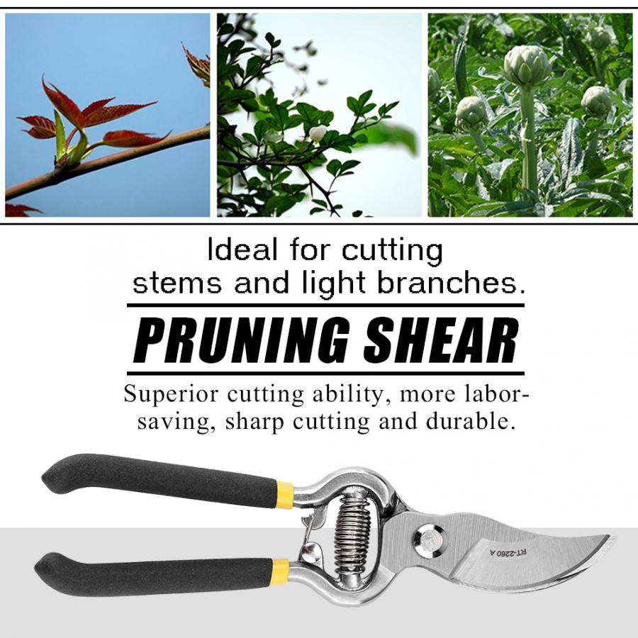 Flower Pruner