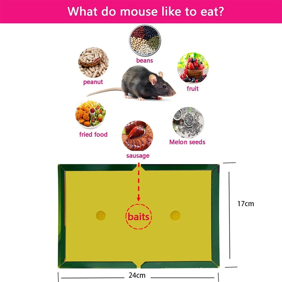 Adhesive Rat Traps 5 PCS