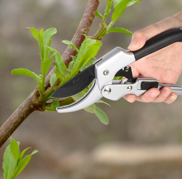 Garden Pruner Center Cut