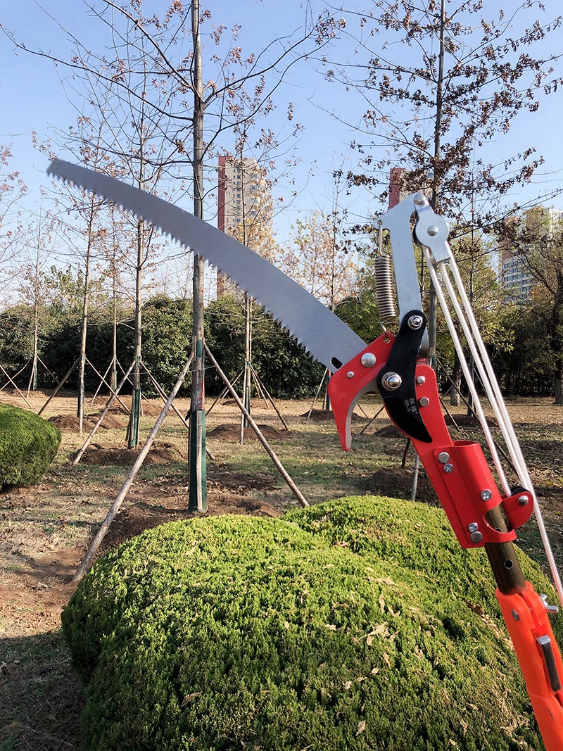 Telescoping Pole Saw with Center Cut Pruner