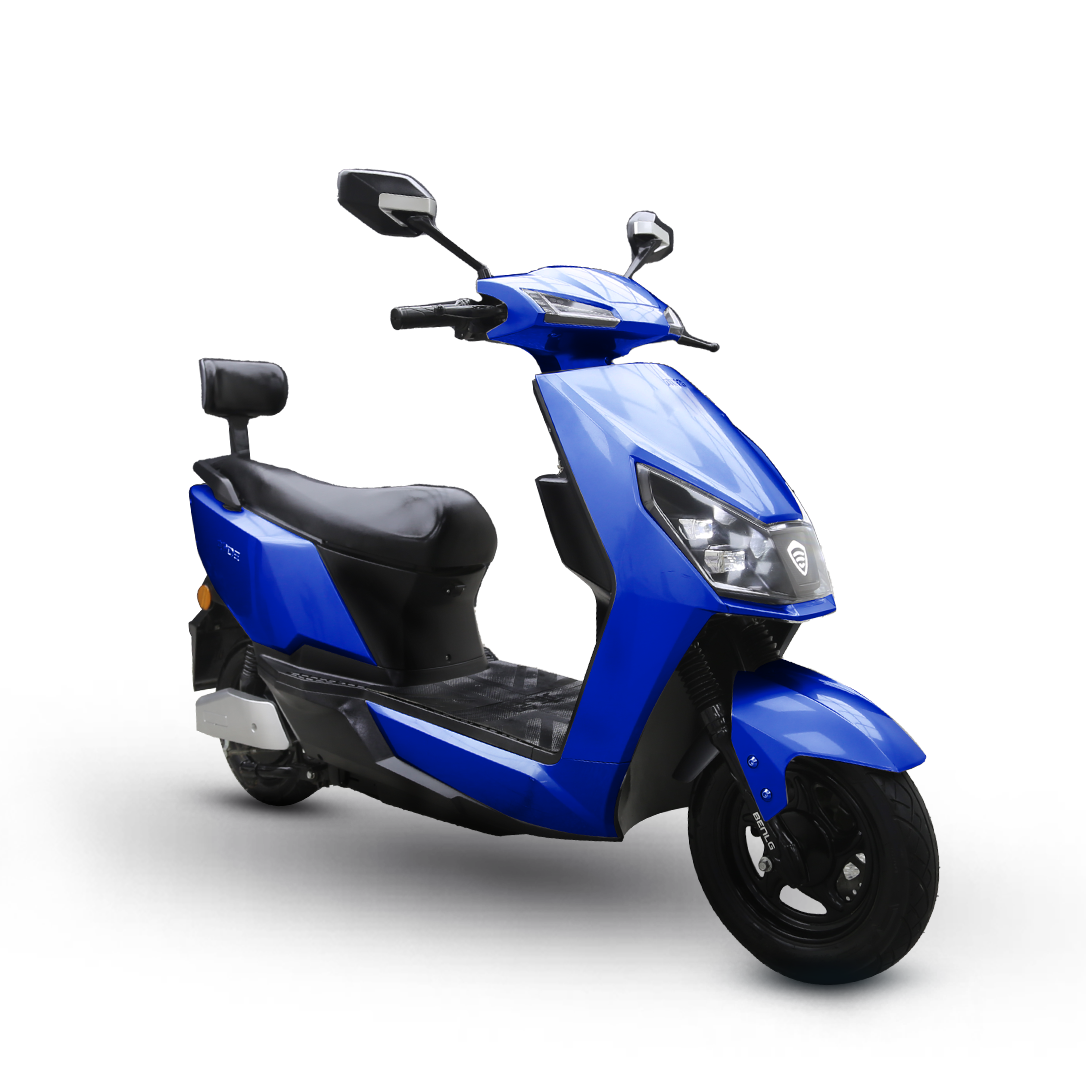 Electric Bike Roshni Pro