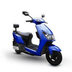 Electric Bike Roshni Pro