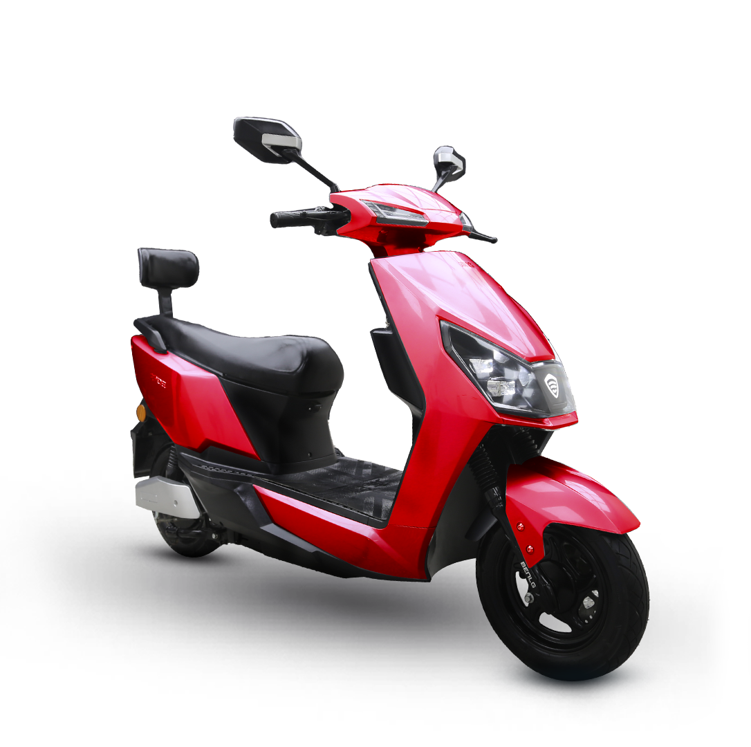 Electric Bike Roshni Plus