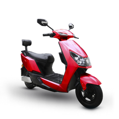 Electric Bike Roshni Plus