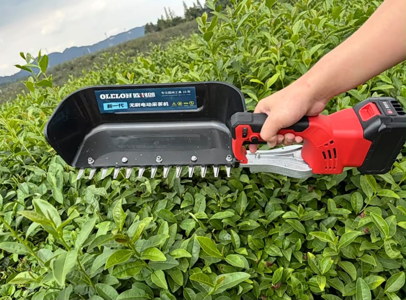 Hedge Trimmer Battery Operated