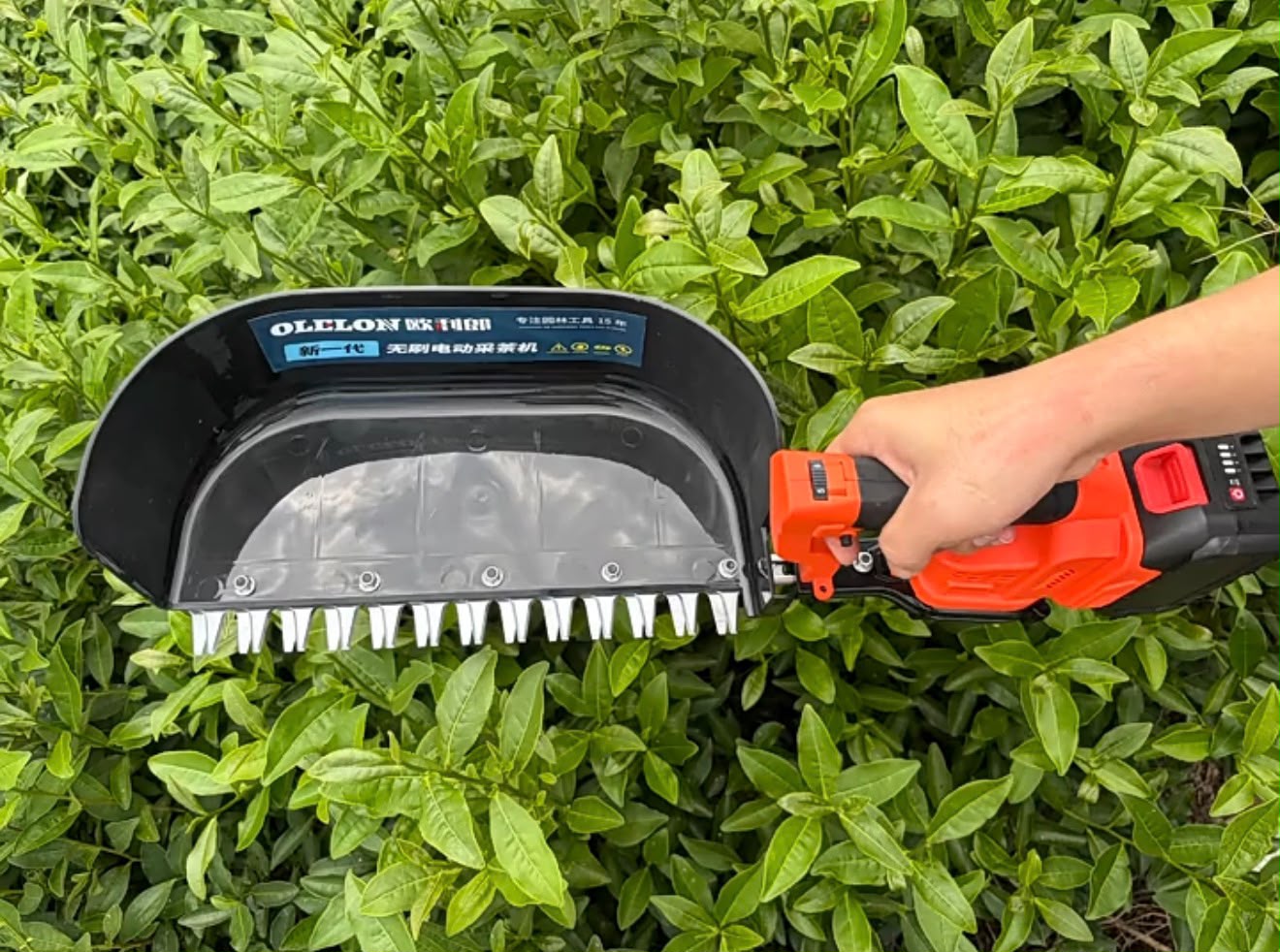 Hedge Trimmer Battery Operated