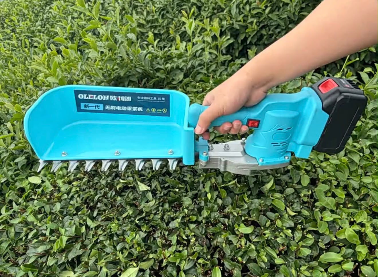 Hedge Trimmer Battery Operated