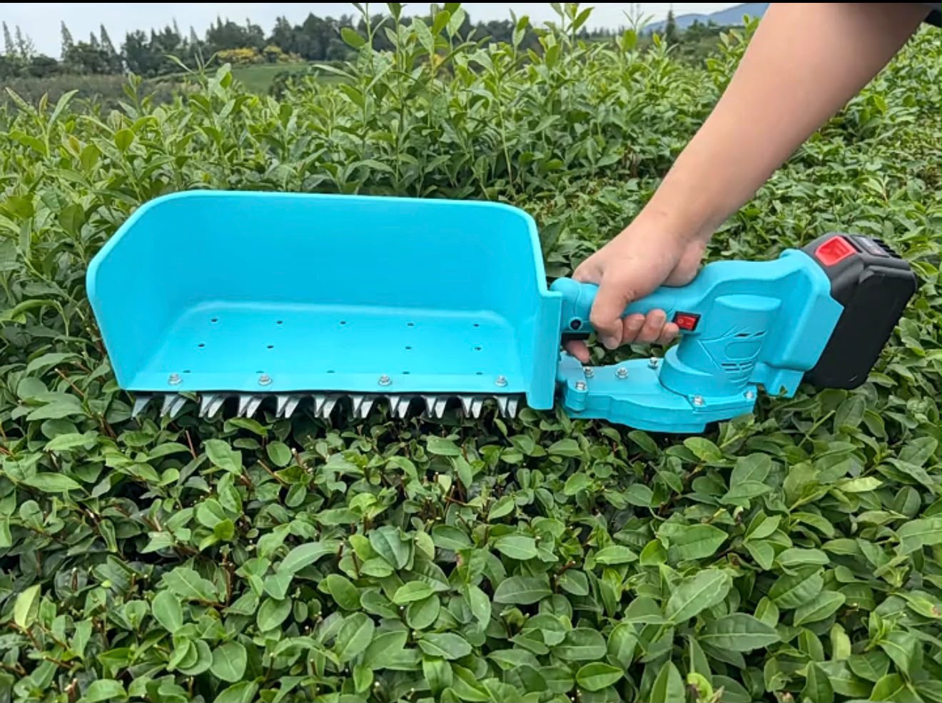 Hedge Trimmer Battery Operated