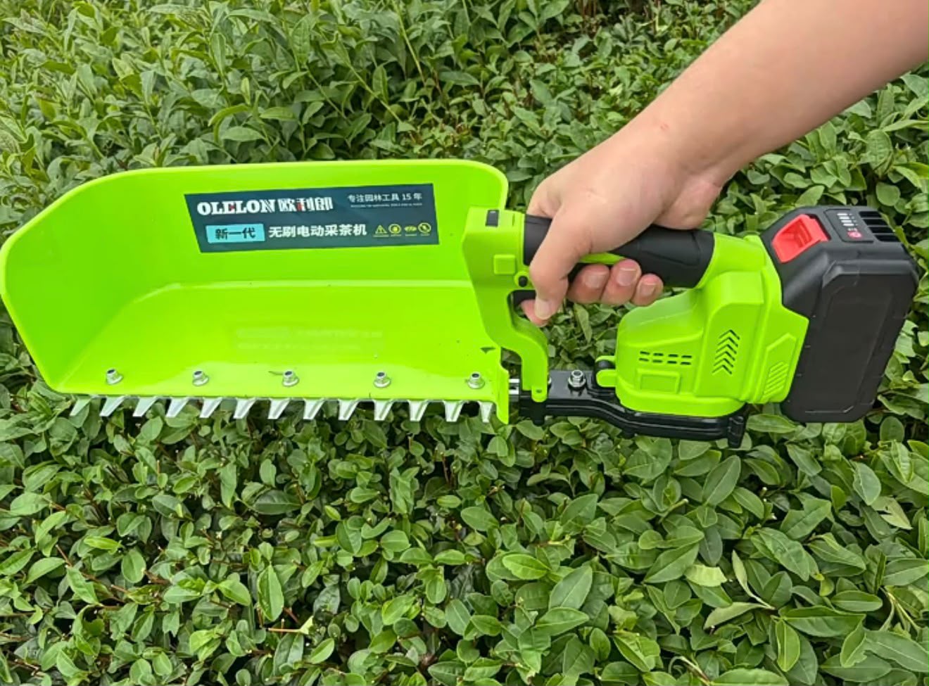 Hedge Trimmer Battery Operated