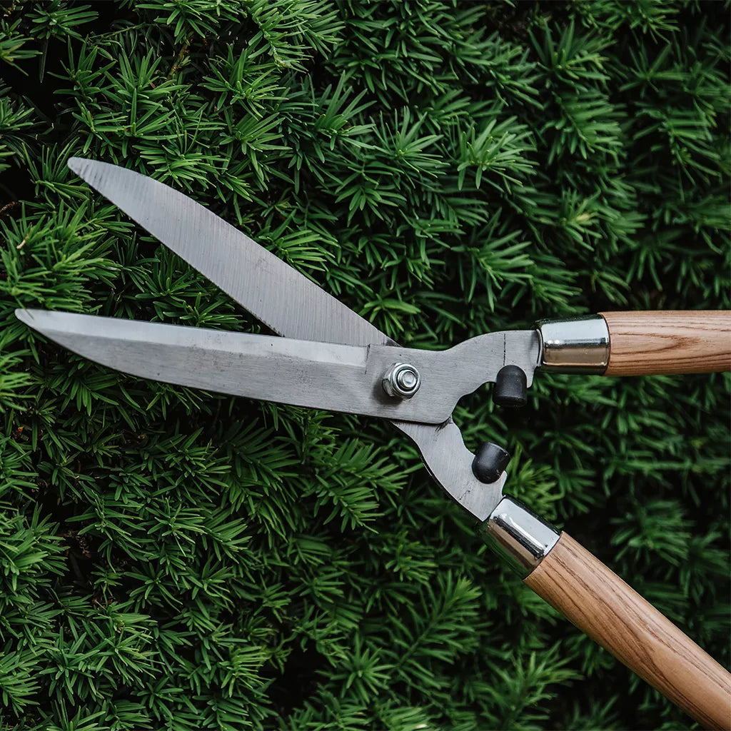 Wooden Handled Hedge Shears