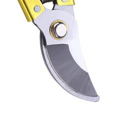 Pruner Golden