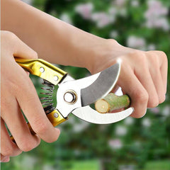 Pruner Golden