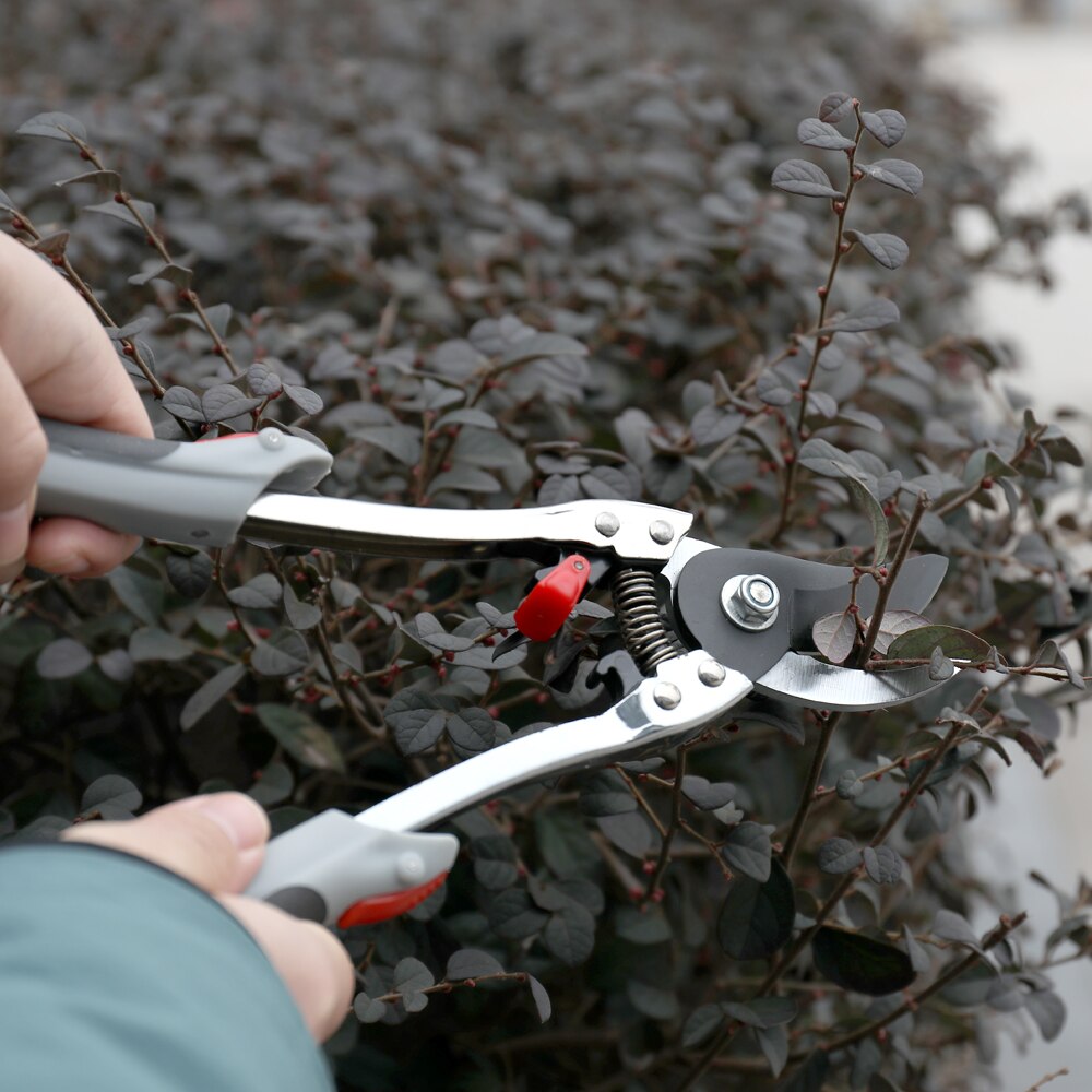 2-in-1 Handle Retractable Gardening Scissor