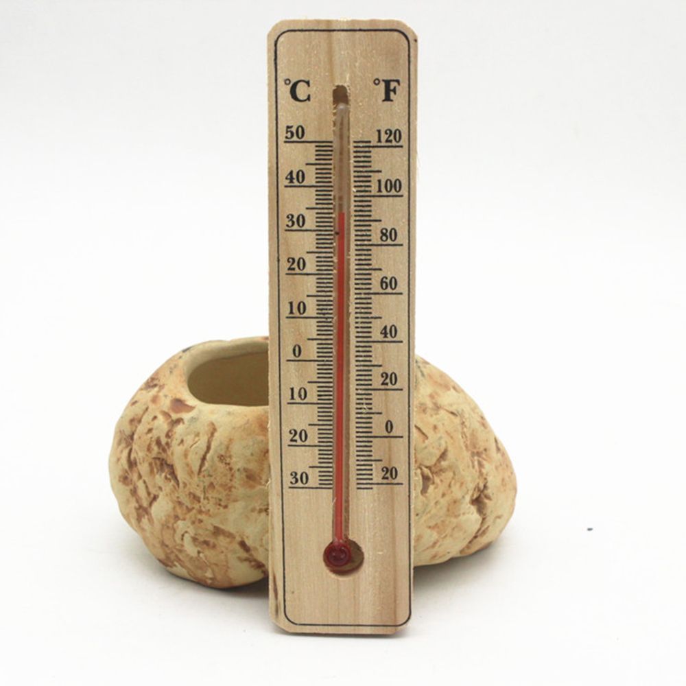 Temperature Meter