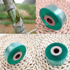 Grafting Film - Tape