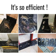 Rat/Mice Traps Mat