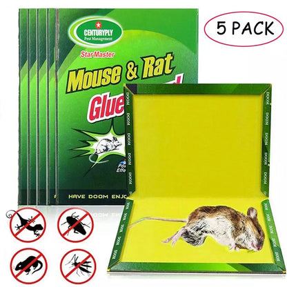 Adhesive Rat Traps 5 PCS