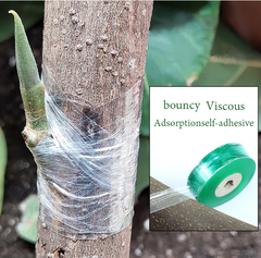 Grafting Film - Tape